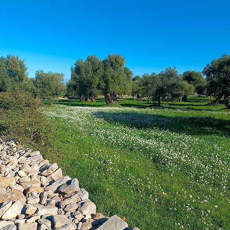 Che Vista!! Ostuni ,Sulle Bianche Mura Con Vista Mozzafiato Exterior foto