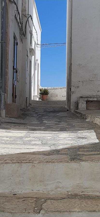 Che Vista!! Ostuni ,Sulle Bianche Mura Con Vista Mozzafiato Exterior foto