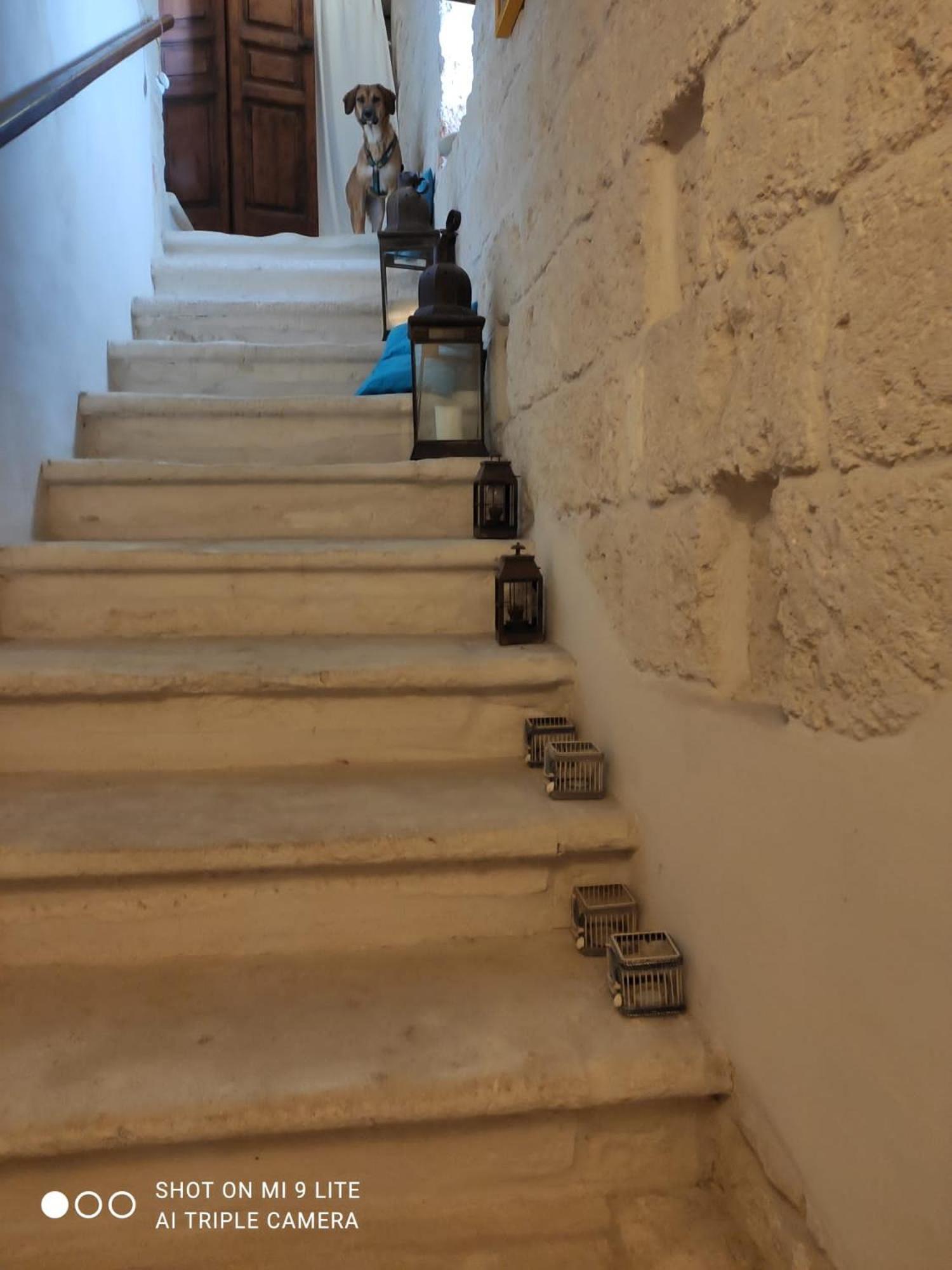 Che Vista!! Ostuni ,Sulle Bianche Mura Con Vista Mozzafiato Exterior foto