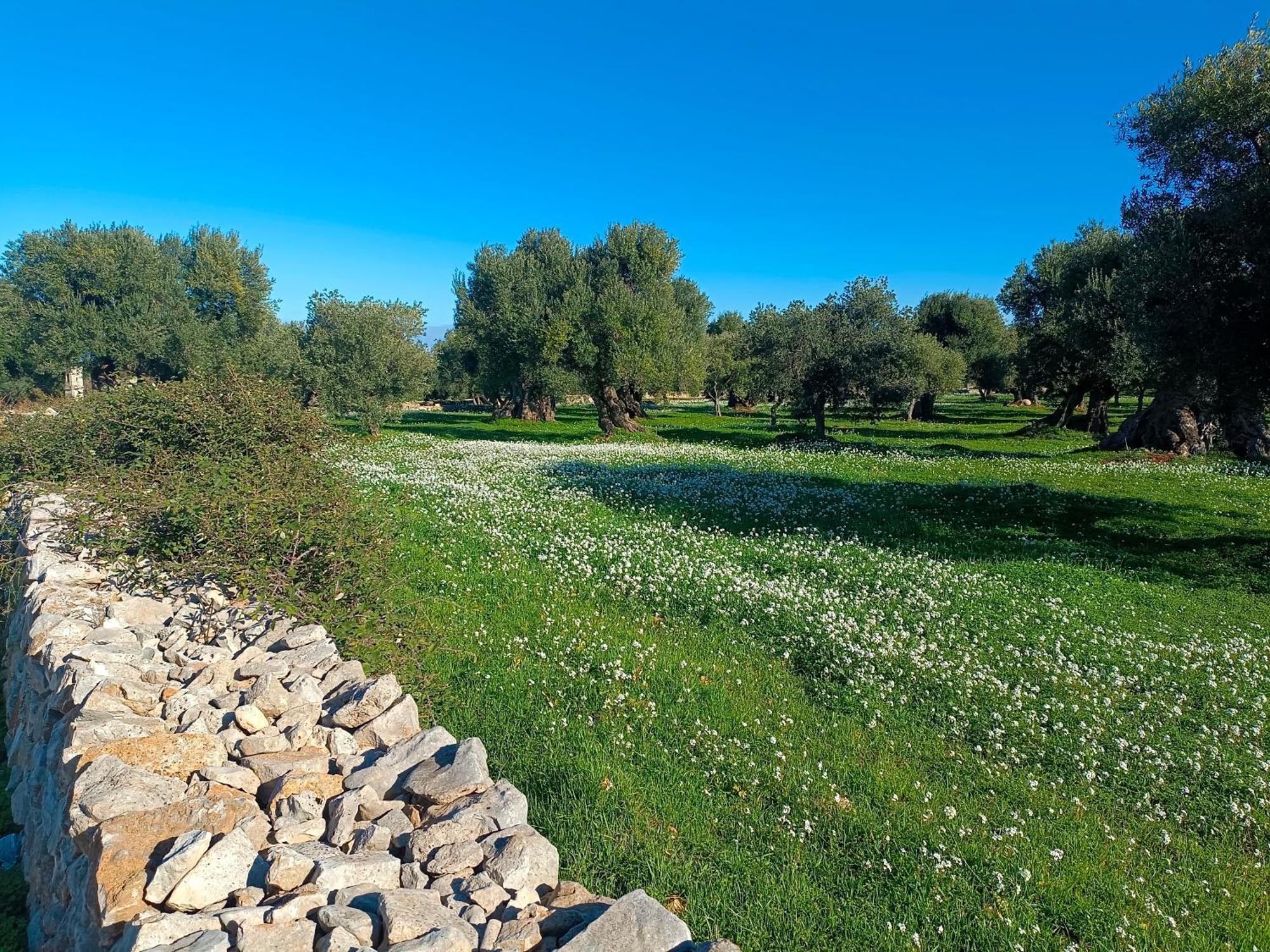 Che Vista!! Ostuni ,Sulle Bianche Mura Con Vista Mozzafiato Exterior foto